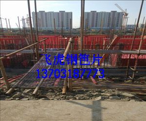 新型金屬材質(zhì)建筑用鋼笆片-04