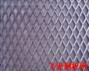 安平防護(hù)型鋼板網(wǎng)