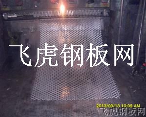 嘉善作業(yè)平臺(tái)踏板網(wǎng)-03