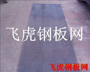 嘉善作業(yè)平臺(tái)踏板網(wǎng)-04