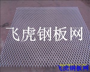 益陽鋼板網(wǎng)-04