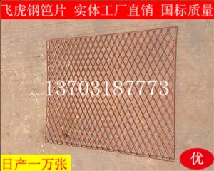 建筑鋼笆片哪里價格最便宜、質(zhì)量有保證-04