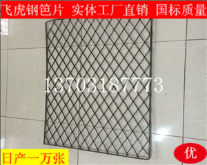 高層施工外墻用建筑鋼笆片未來(lái)的發(fā)展趨勢(shì)