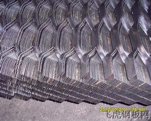 龜甲形擴(kuò)張網(wǎng)－０３